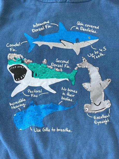 Chlapčenská mikina 134, h&m,134