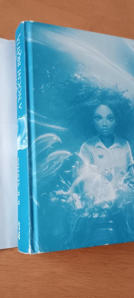 Amari a noční bratia - kniha, 