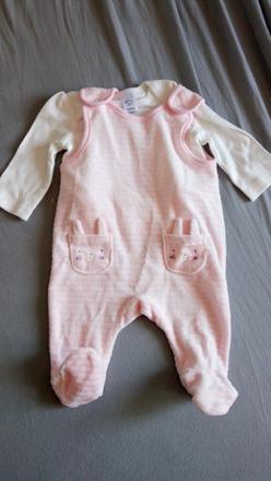 Supravka 62, palomino,62