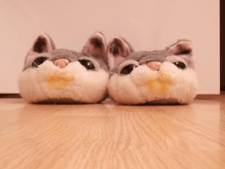 Papuče detské/dámske, 36