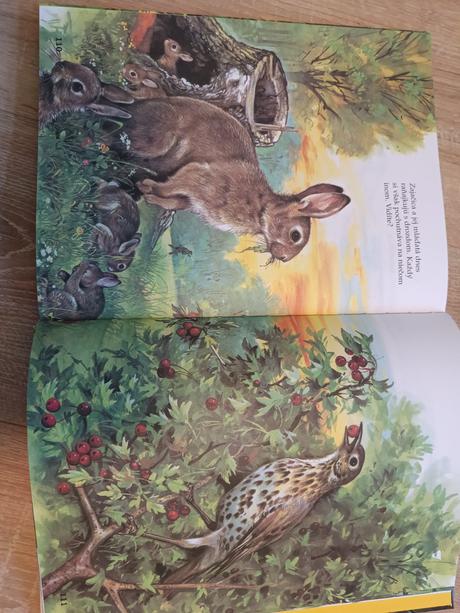 Moja najkrajšia kniha o zvieratkách,