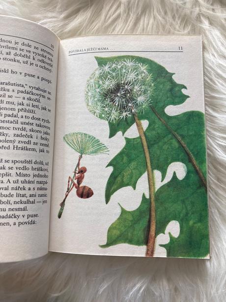 Povídala ježčí máma...rudo moric (1986), 