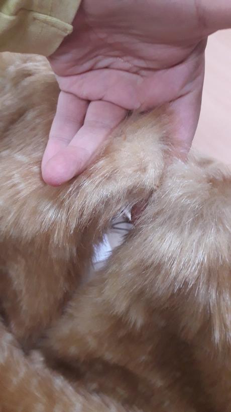 Krátky kožúšok na zip zap zapinanie, 34