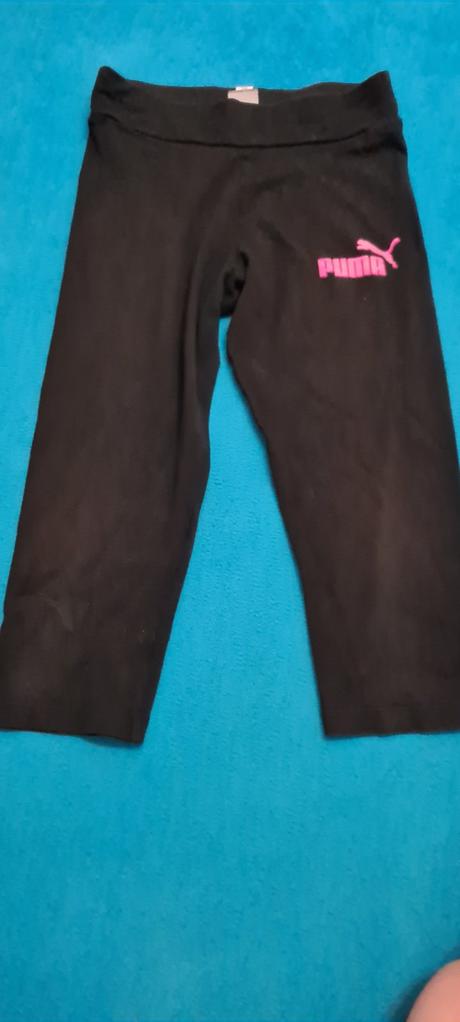 Kratke nohavice, puma,152