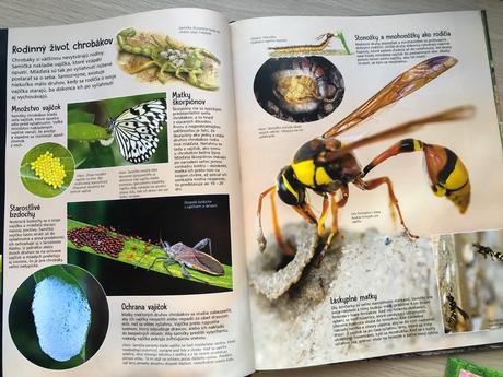 Detské knihy o prírode,