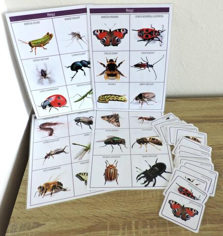 Karty hmyz pdf formát, 
