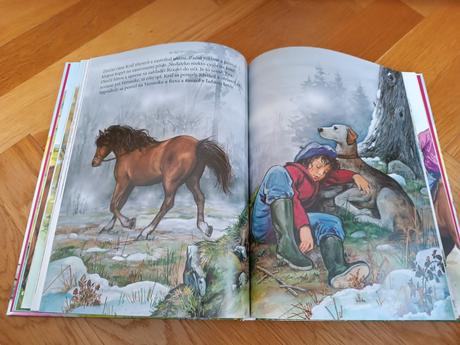 Kniha príbehy o koníkoch, 