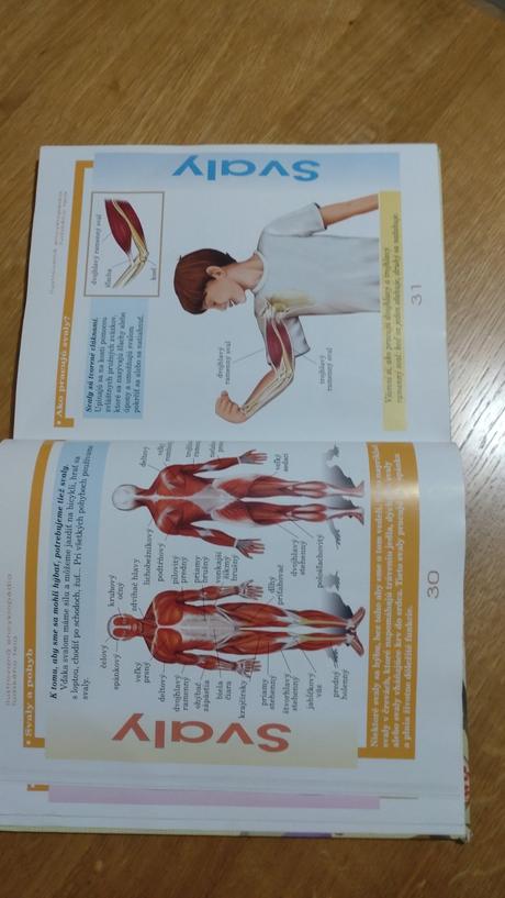 Encyklopedie lidské tělo, 