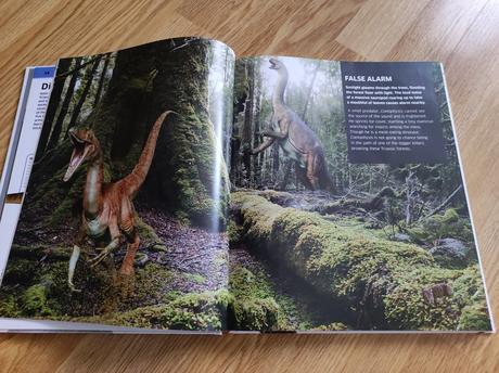 Kniha dinosaur anglicky, 