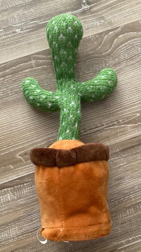 Tancujú,spievajúci kaktus, 