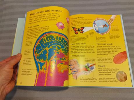Usborne first encyclopedia of science nsu23, 