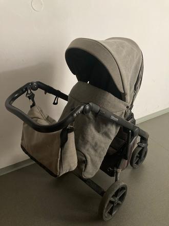 Kočík roan bloom, roan,roan bloom