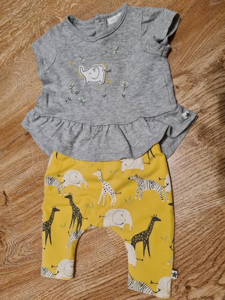 Next safari set, next,56