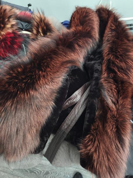 Prava krasna kozusinova vesta, m