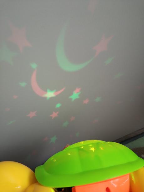 26de_svietiaca korytnacka, zirafka s kladivkom, 