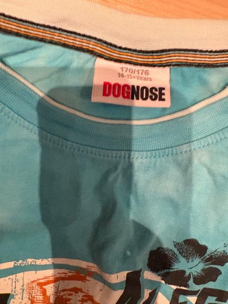 Tielko porto alegre 14 rokov, dognose,176