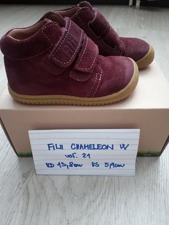 Filii chameleon w, filii,21