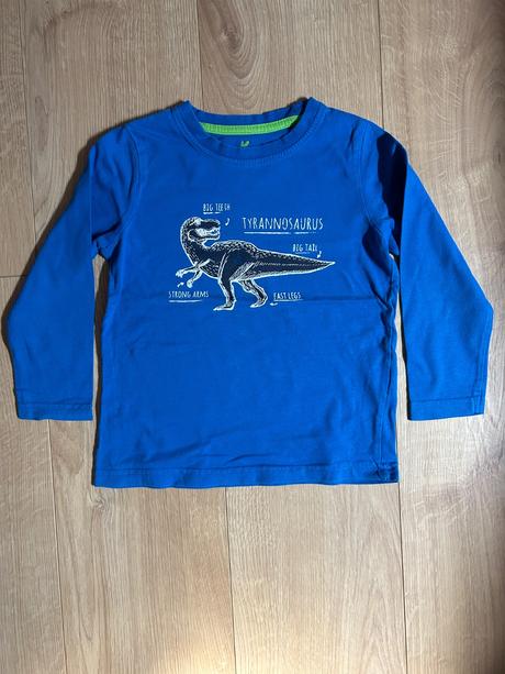 Tričko s dinosaurom -98/104, lupilu,98