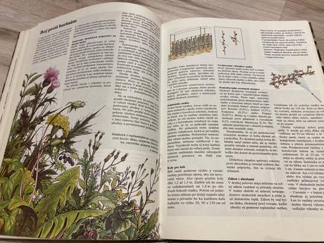 Krásna stará retro kniha jar v záhrade 1986, 