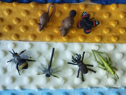 Zvieratka/hmyz z kauflandu,