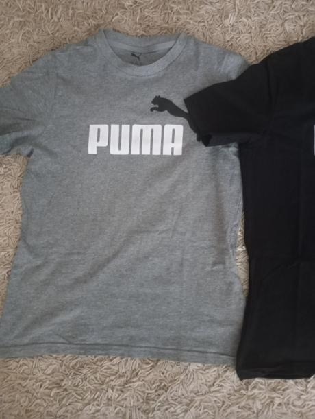Tričká puma, puma,164