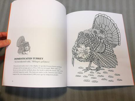 Georgie woolridge birds colouring book nsp22,