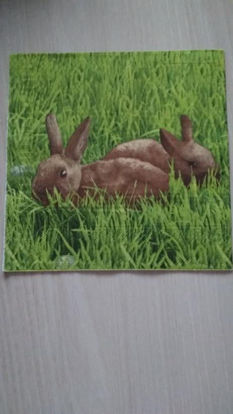 Servítky zvieratá,