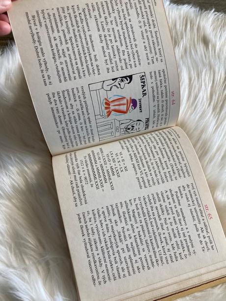 Aká bola dávna škola bibiana wallnerová (1979), 