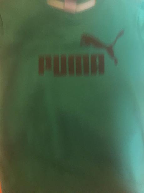 Pulovrik, puma,140