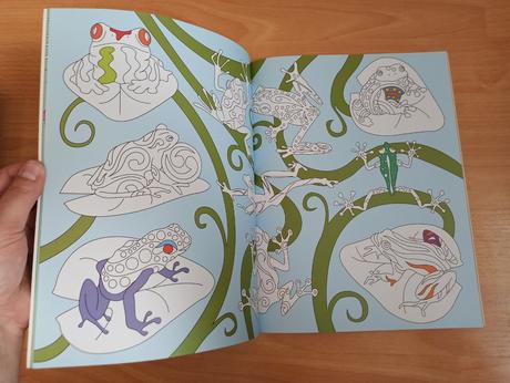 Animal kingdom doodle book,