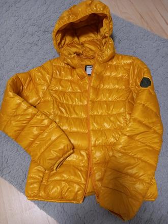 Zimná bunda, terranova,s