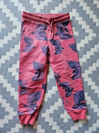 Tepláky, nohavice coccodrillo, coccodrillo,104