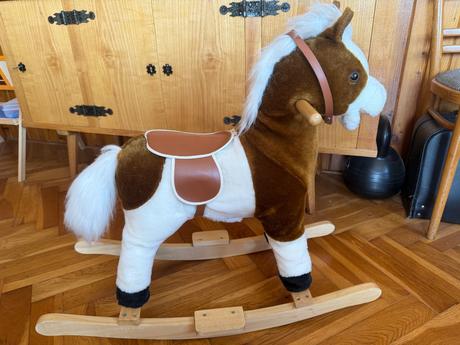 Hojdaci konik, 