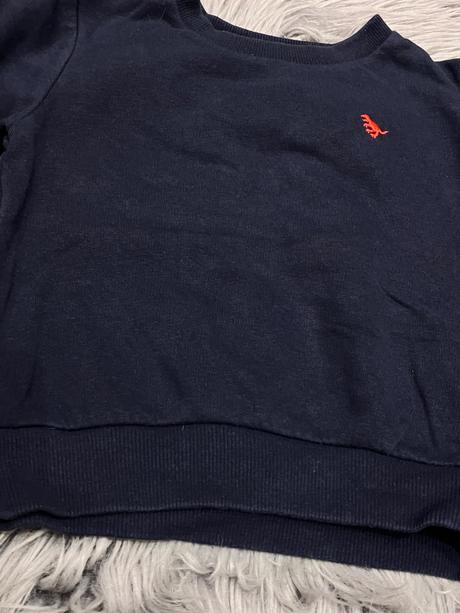 Chlapčenská mikina s dinosaurom (80), next,80