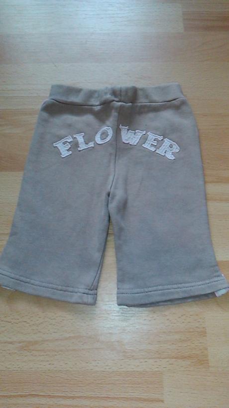 Teplaciky, st. bernard,68