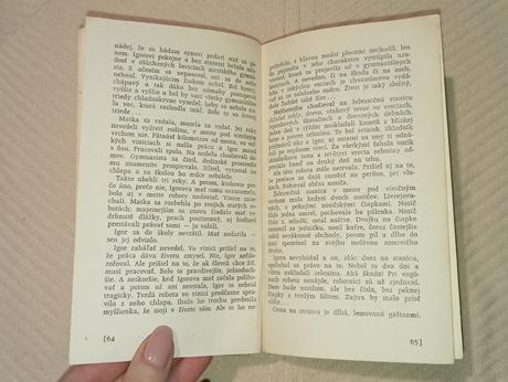 Rudof jašík - námestie svätej alžbety, 