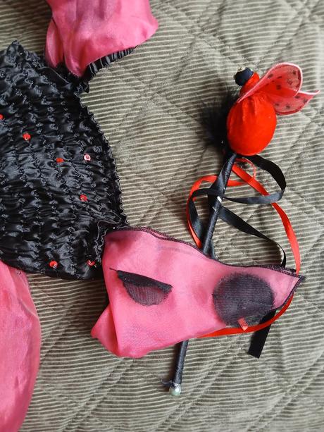 Kostým na karneval - lienka,