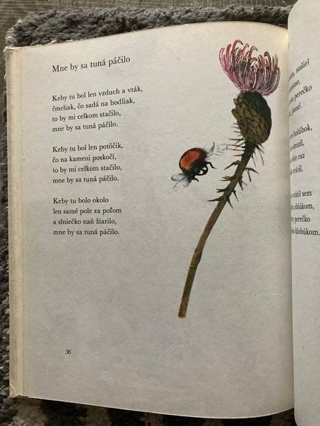 Čarokruh - jan čarek (1983), 