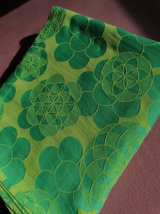 Šatka pollora, pollora