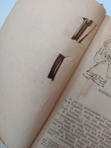 Kniha stendhal voros es fekete,