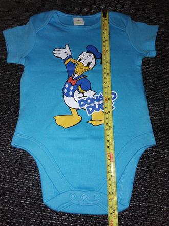 Body kacer donald, disney,74