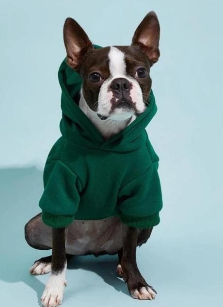 Oblečenie pre psíka,