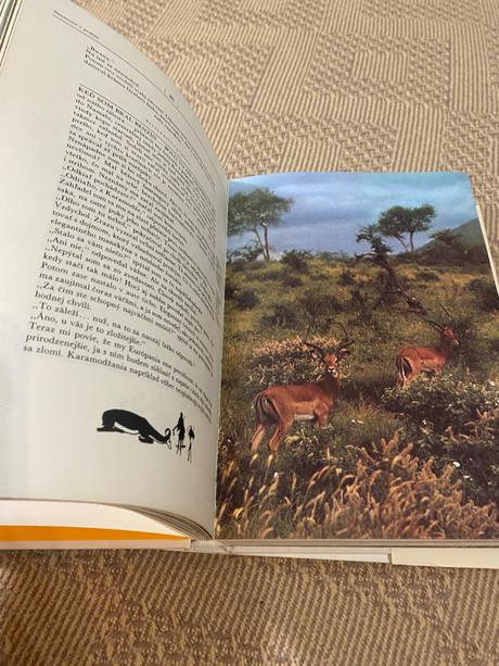 Krásna kniha o afrike safari pod kilimandžárom,