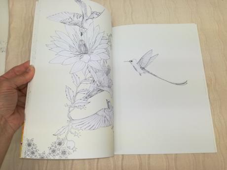 Daisy fletcher birdtopia coluring book nau19,