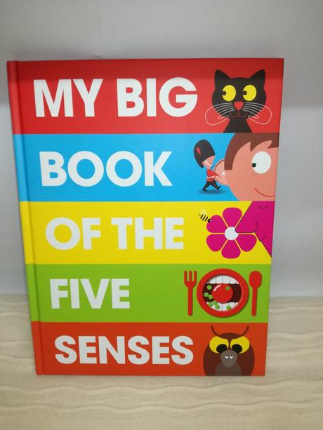 My big book of the five senses njul18,