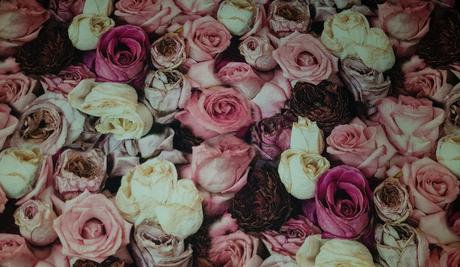 Jednovrstvová čiapka, 36 - xs