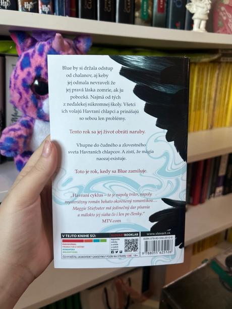 Havraní chlapci- kniha,