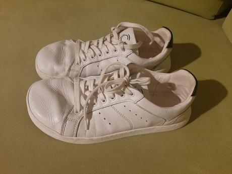 Groundies universe regular, 38