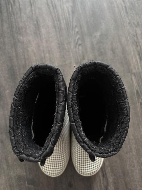 Aigle snehule, aigle,32