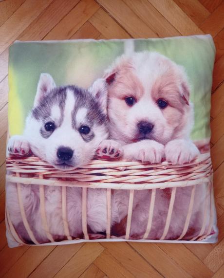 Obliečka na vankúš, 